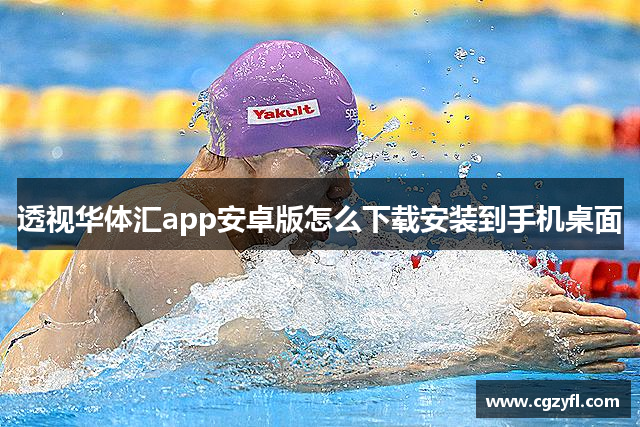 透视华体汇app安卓版怎么下载安装到手机桌面